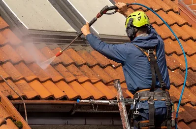 Démoussage et hydrofuge de toiture à Bort-l'Étang